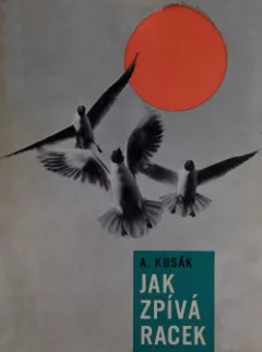 Jak zpívá racek