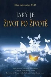 Jaký je život po životě