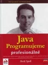 Java Programujeme profesionálně