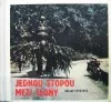Jednou stopou mezi slony