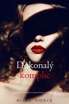 Dokonalý komplic
