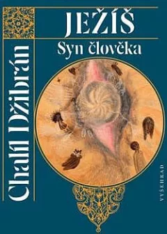 Ježíš, Syn člověka