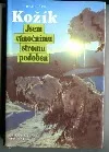 Jsem vánočnímu stromu podoben