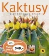 Kaktusy