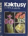 Kaktusy a iné sukulenty