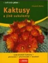 Kaktusy a jiné sukulenty