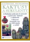 Kaktusy a sukulenty