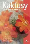Kaktusy za oknem i ve skleníku