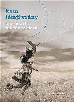 Kam létají vrány