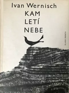 Kam letí nebe