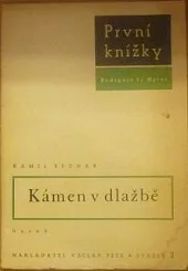 Kámen v dlažbě