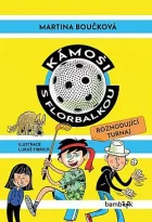 Kámoši s florbalkou - Rozhodující turnaj