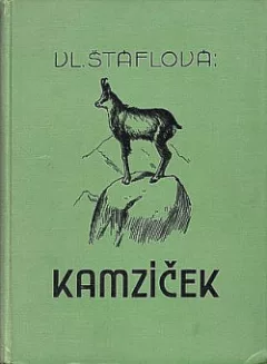 Kamzíček