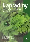 Kapradiny na zahradě, ve skalce a v bytě