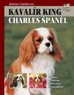 Kavalír King Charles španěl