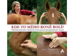 Kde to mého koně bolí