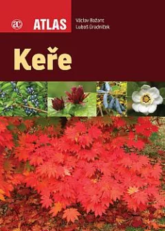Keře