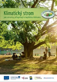 Klimatický strom: Jak stromy přispívají k lepšímu klimatu