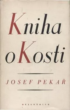 Kniha o Kosti