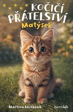 Kočičí přátelství: Matýsek