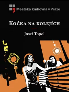 Kočka na kolejích