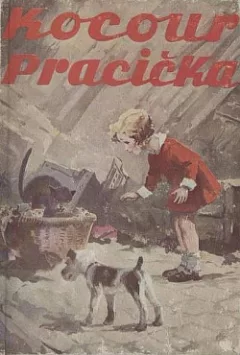 Kocour Pracička