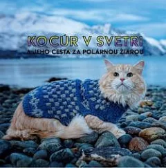 Kocour ve svetru