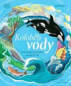 Koloběh vody: Fascinující proměny ve vodní říši