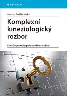 Komplexní kineziologický rozbor