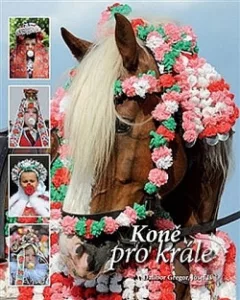 Koně pro krále
