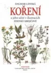 Koření a jeho užití v ilustracích Zdenky Krejčové