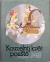 Kouzelný květ pouště
