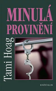 Minulá provinění