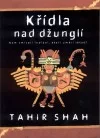 Křídla nad džunglí - Kam zmizeli indiáni, kteří uměli létat