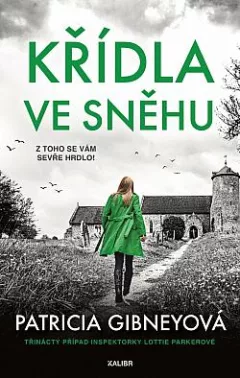 Křídla ve sněhu
