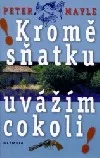 Kromě sňatku uvážím cokoli!