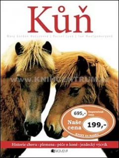 Kůň