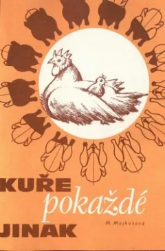 Kuře pokaždé jinak