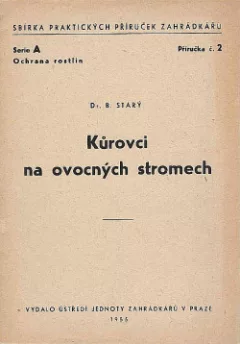 Kůrovci na ovocných stromech