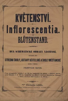 Květenství
