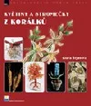 Květiny a stromečky z korálků