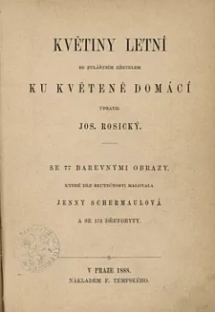 Květiny  letní se zvláštním zřetelem ku květeně domácí