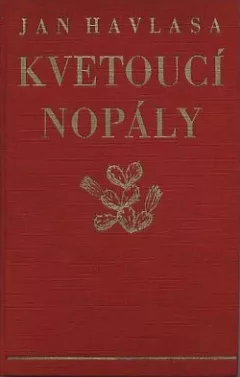 Kvetoucí nopály