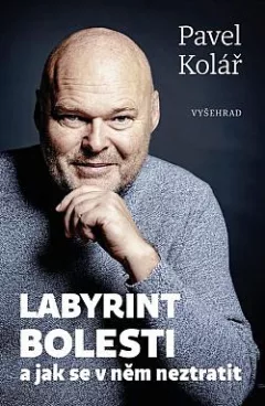 Labyrint bolesti a jak se v něm neztratit