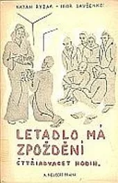 Letadlo má zpoždění čtyřiadvacet hodin