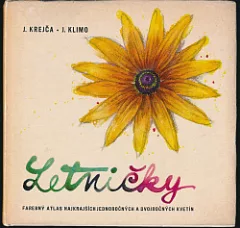 Letničky