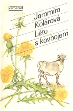 Léto s kovbojem