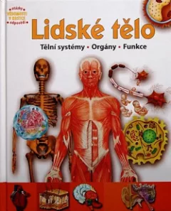 Lidské tělo