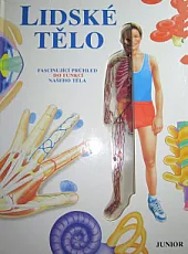 Lidské tělo: fascinující průhled do funkcí našeho těla