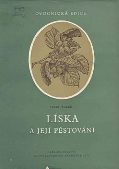 Líska a její pěstování